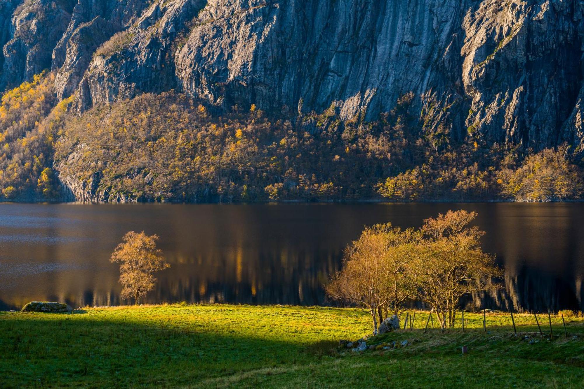 Hytte Ved Preikestolen Forsand ภายนอก รูปภาพ