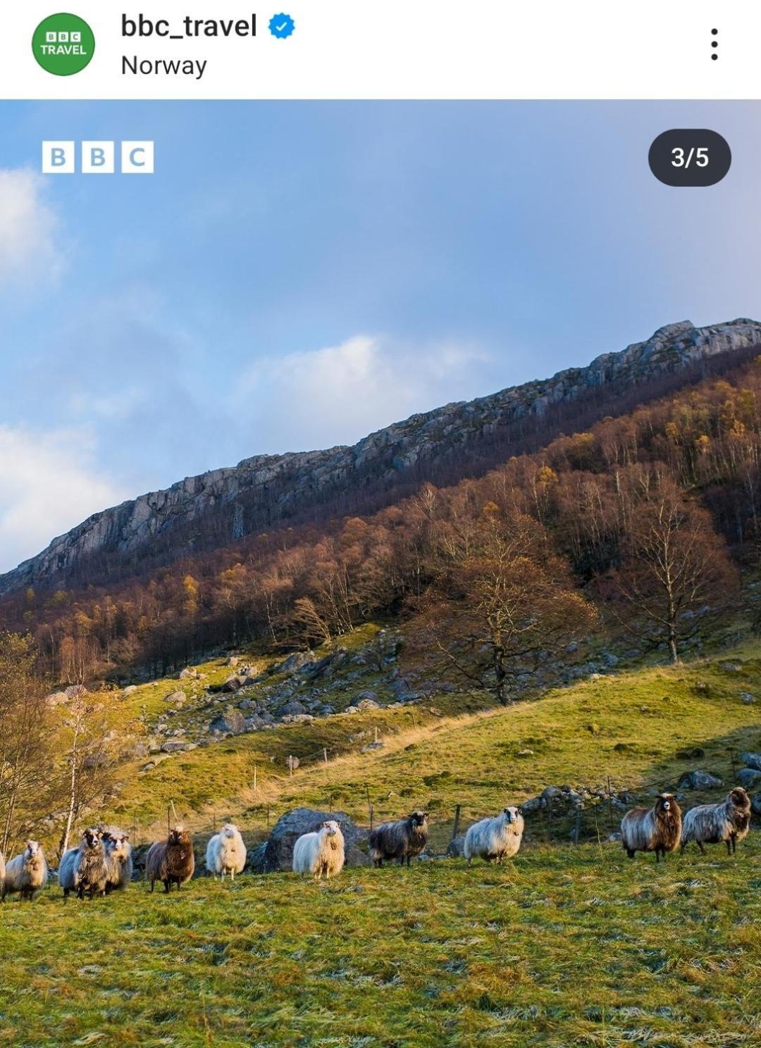 Hytte Ved Preikestolen Forsand ภายนอก รูปภาพ